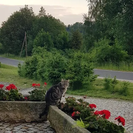 Dom Jesionow Farm stay