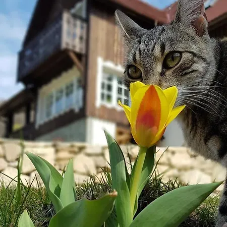 Dom Jesionow Alloggio per agriturismo