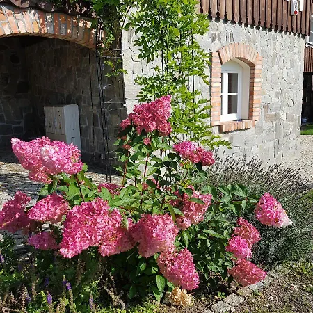 Dom Jesionów Idzikow
