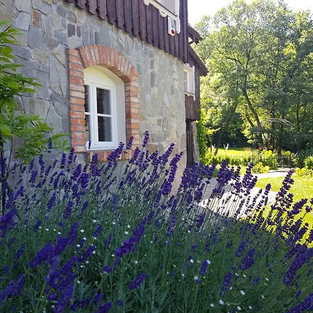 Dom Jesionow * Idzikow