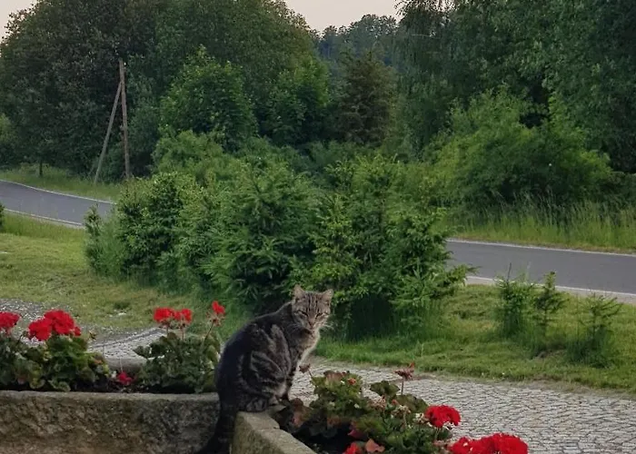 Dom Jesionow 팜스테이