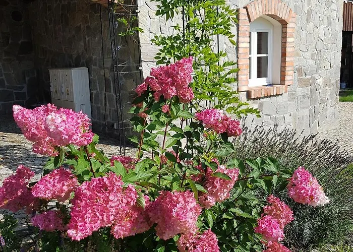 Dom Jesionow Idzikow