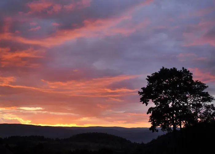 Dom Jesionow 팜스테이 *