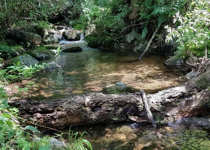 팜스테이 Dom Jesionow *