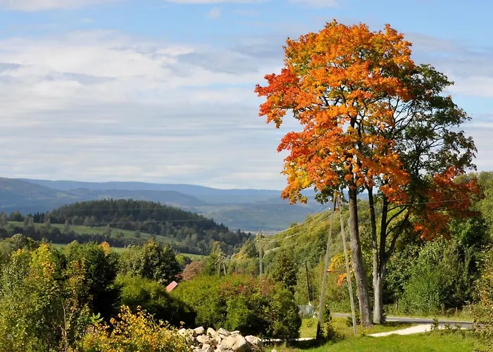 Vakantieboerderij Dom Jesionow